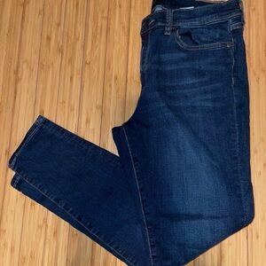 Banana Republic Sculpting Skinny Jean